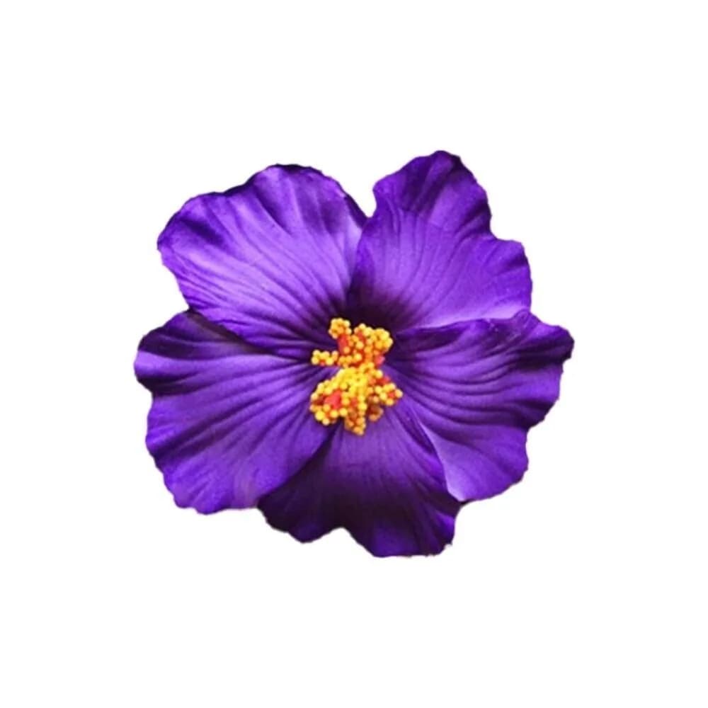 Pince à cheveux fleur blanche pour femmes et filles, épingle à cheveux, plage, bord de mer, voyage,