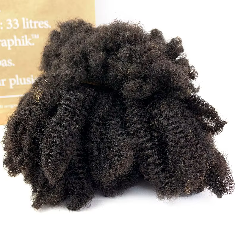 Extensions de cheveux Afro crépus bouclés, Microlocs, tressage humain, cheveux en vrac pour tresser,