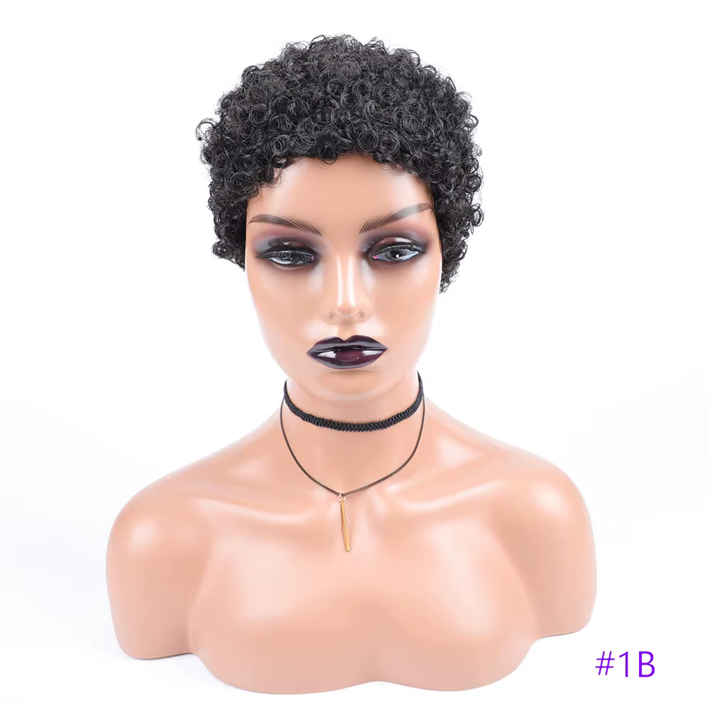 Perruques synthétiques Afro courtes bouclées pour femmes noires, coiffures courtes, coupe Pixie avec