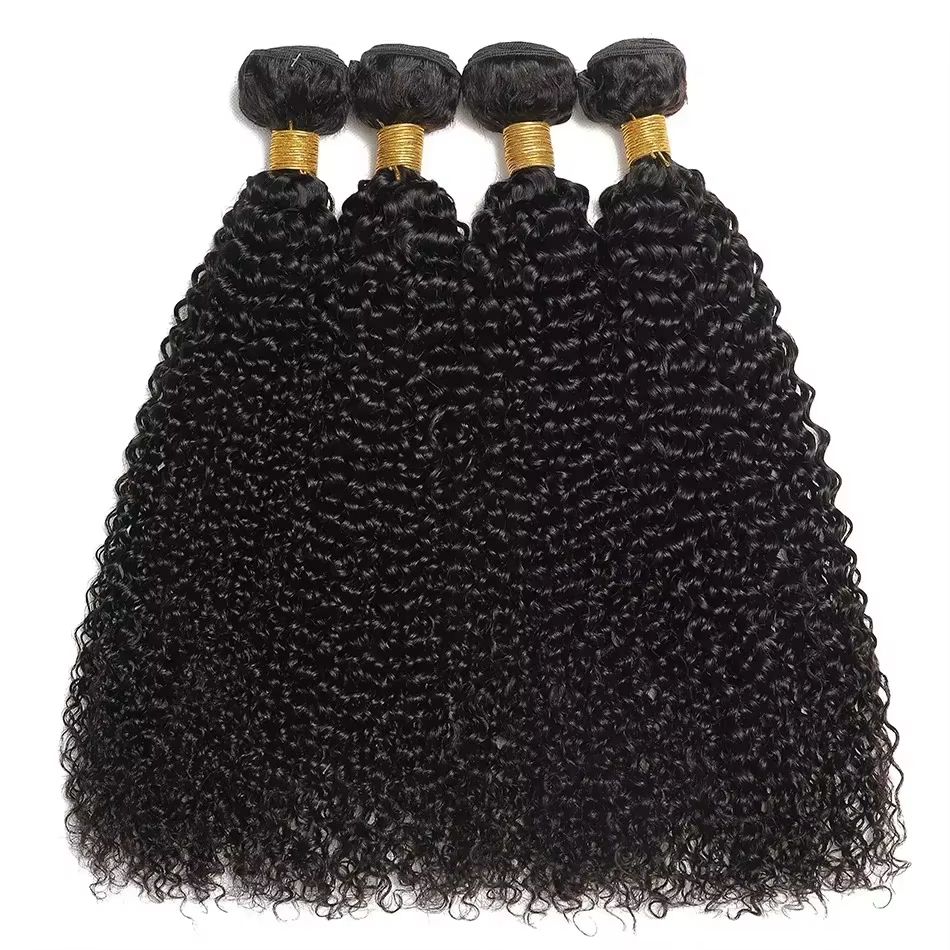 Extensions de Cheveux Humains Ondulés Profonds, Lots de Cheveux Bouclés Birmans, Cheveux Naturels On