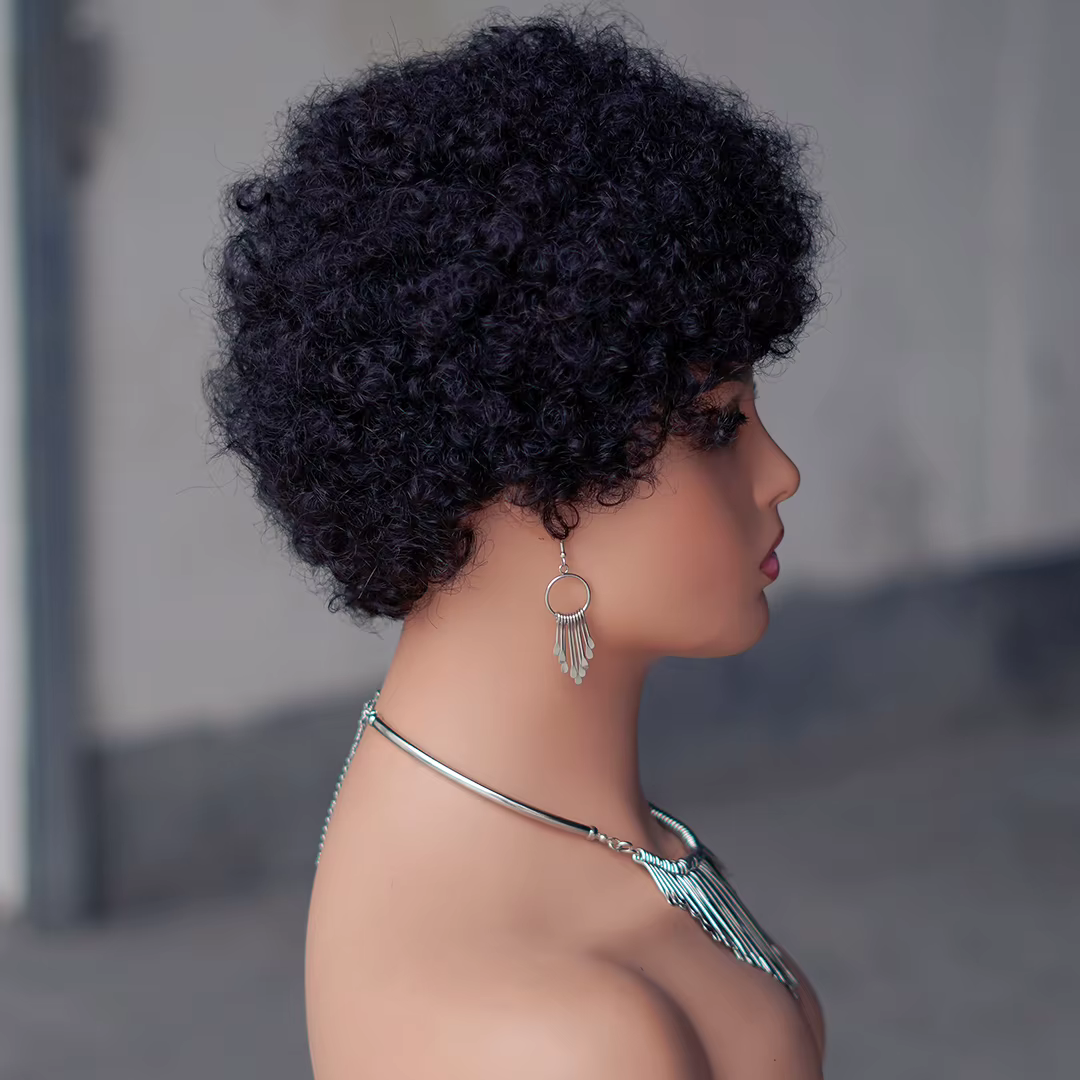 Perruque de cheveux humains courts Afro crépus bouclés pour femmes cheveux moelleux court Pixie bouc