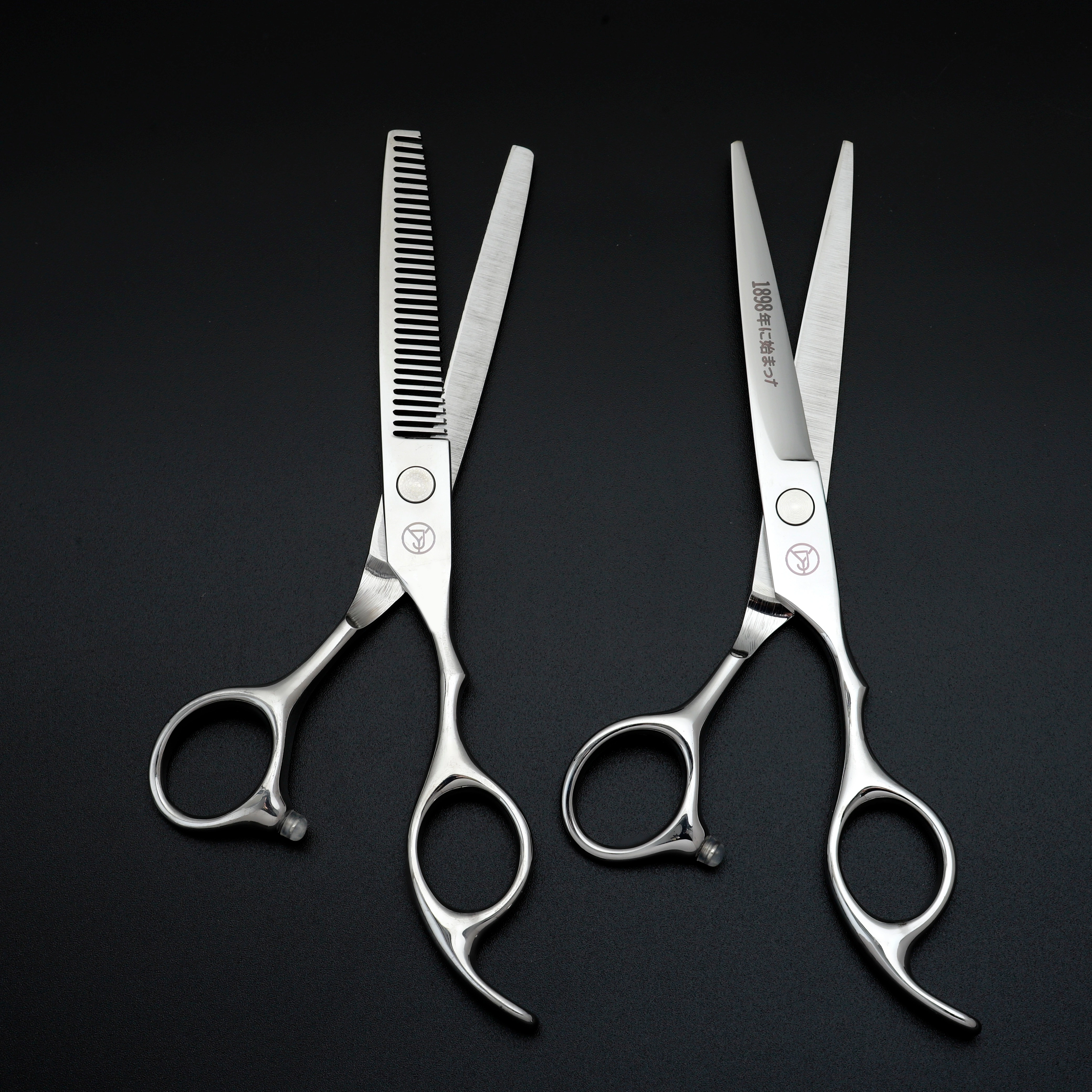 Ensemble de ciseaux de coiffure professionnels, ciseaux de coiffure en acier inoxydable japonais arg