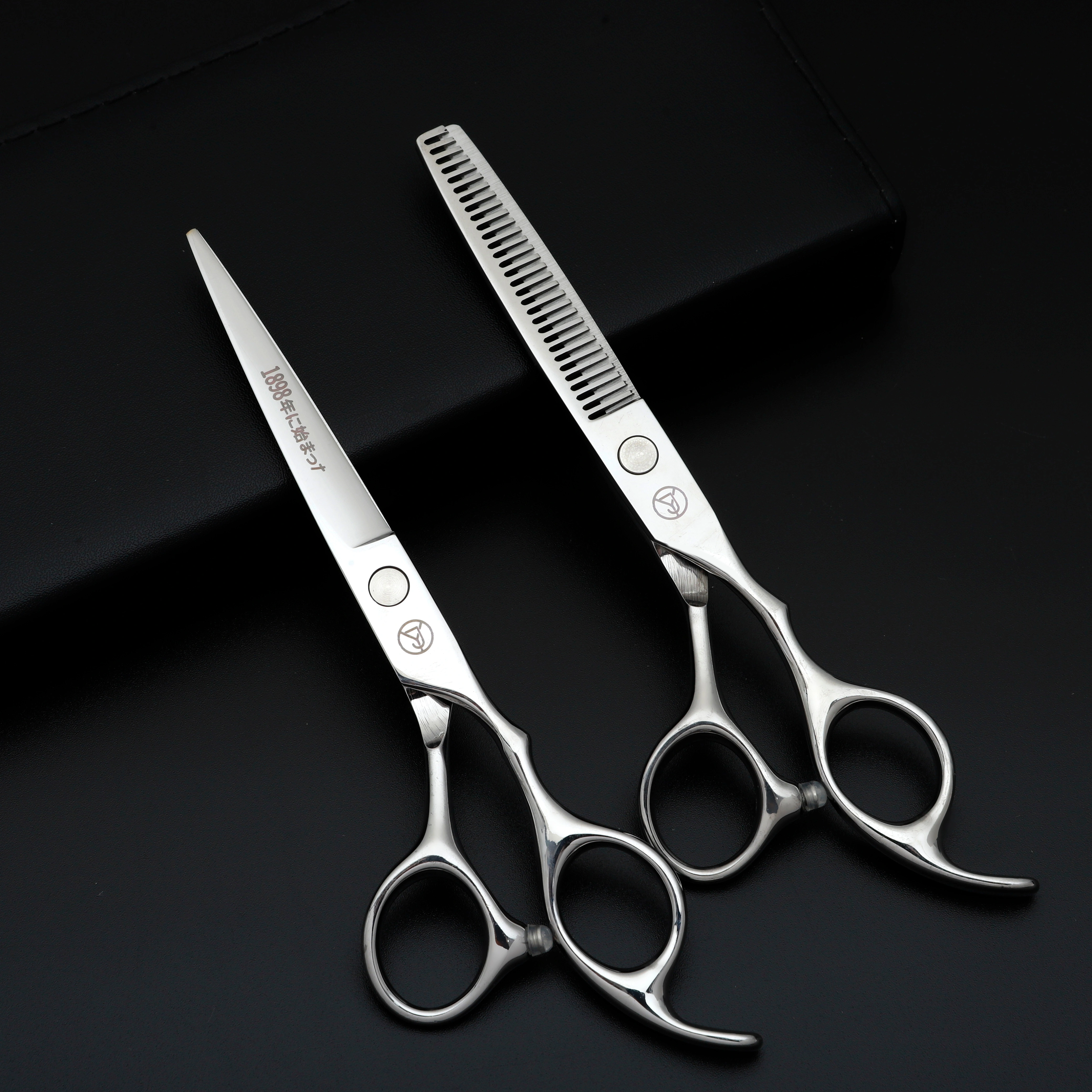 Ensemble de ciseaux de coiffure professionnels, ciseaux de coiffure en acier inoxydable japonais arg
