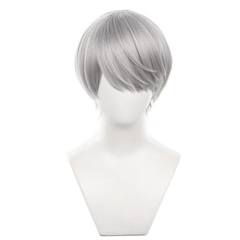 Perruque Anime Yu Narukami grise en forme de bol, cheveux courts et lisses pour fête, accessoires de