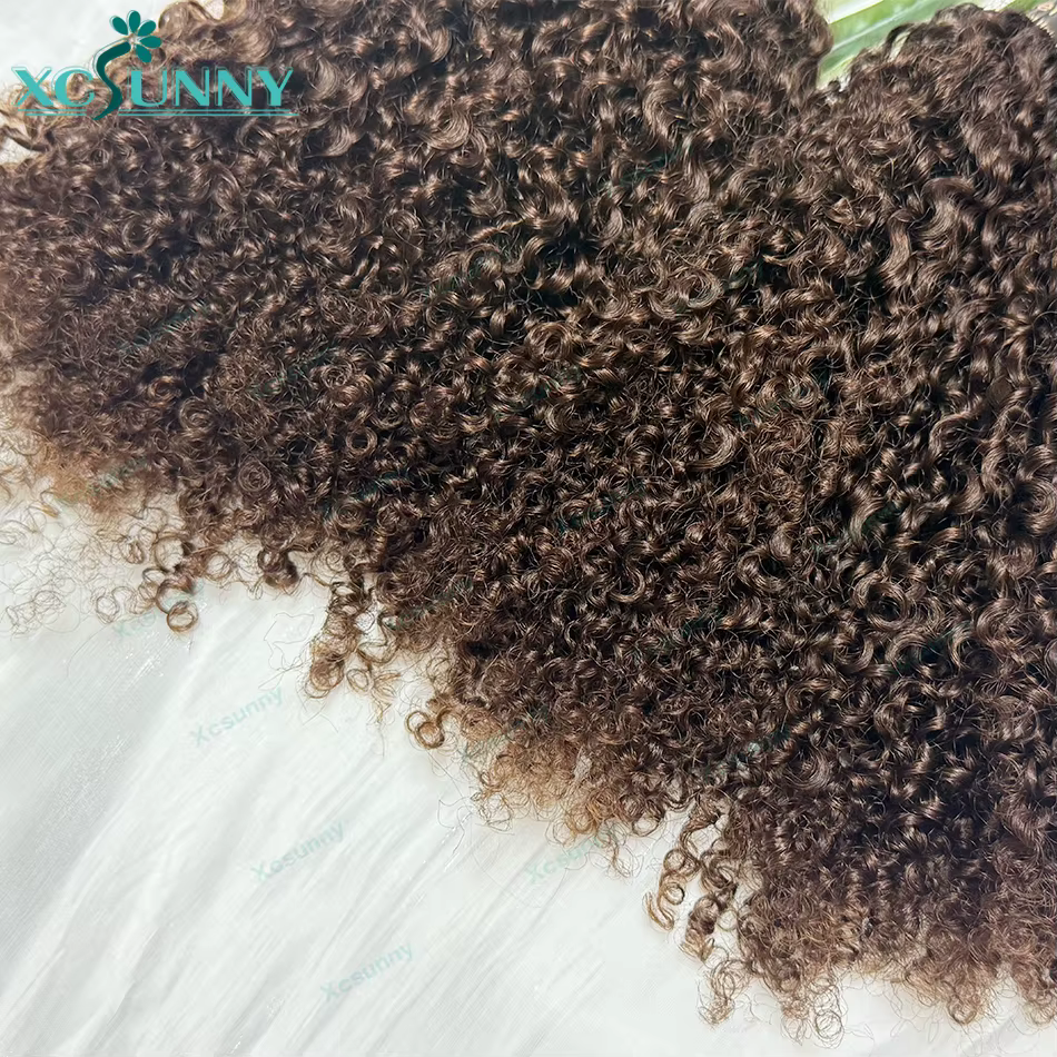 Extensions de cheveux humains au crochet effet plume, bouclées afro crépues ombrées 1b 4, pré-séparé