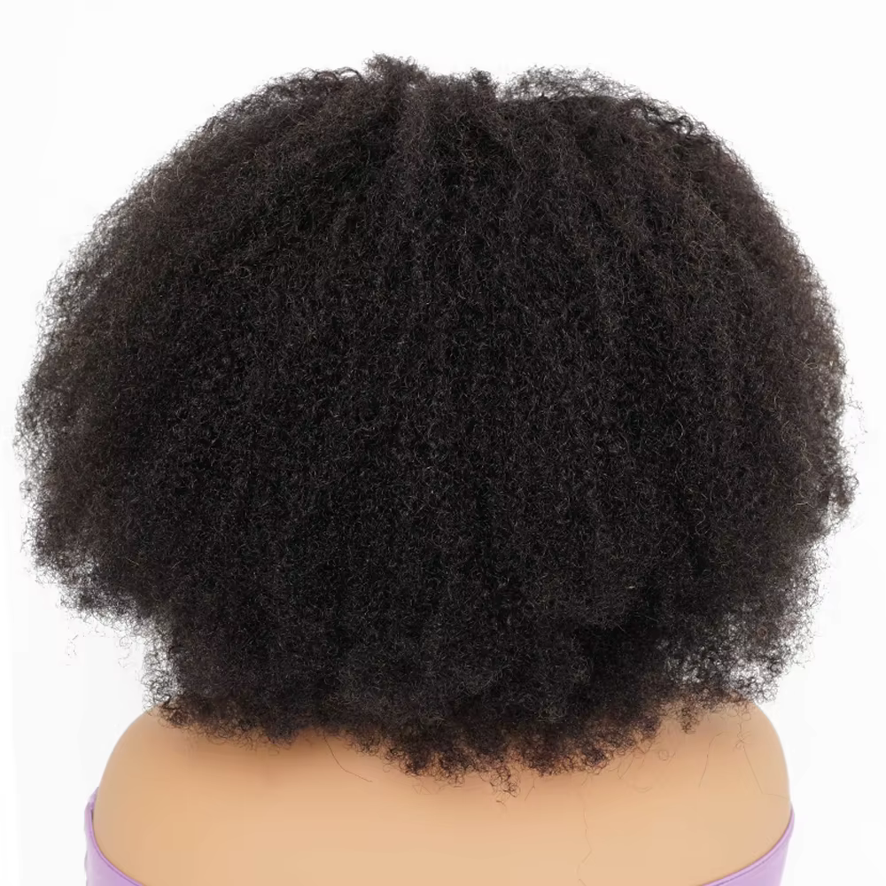 Perruques 100% Cheveux Humains Afro Kinky Bouclés Densité 250% Pour Femmes, Perruque Frontale en Den