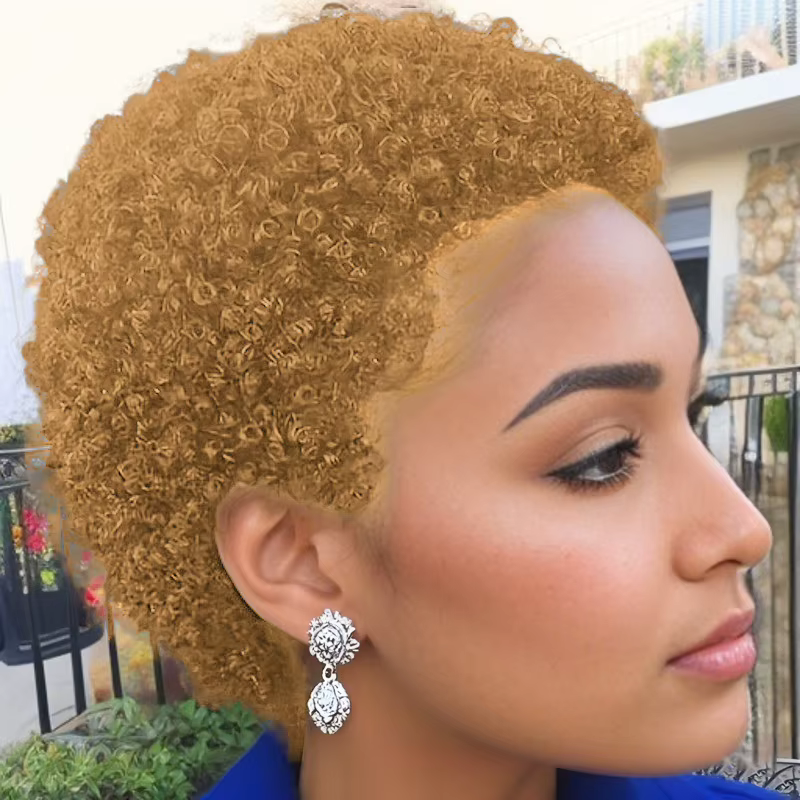 Perruque coupe lutin perruque de cheveux humains perruque courte Afro crépus bouclés perruques pour 
