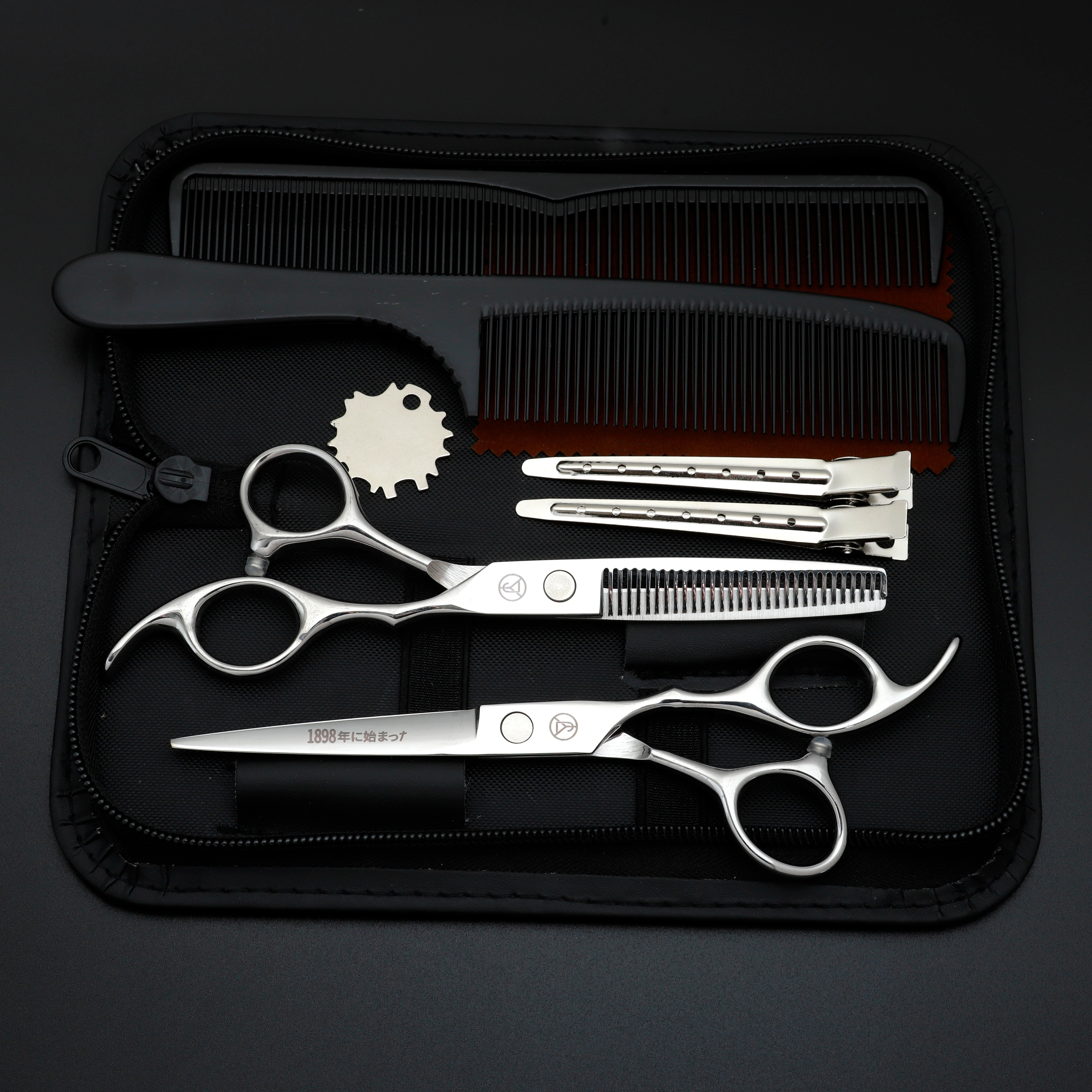 Ensemble de ciseaux de coiffure professionnels, ciseaux de coiffure en acier inoxydable japonais arg