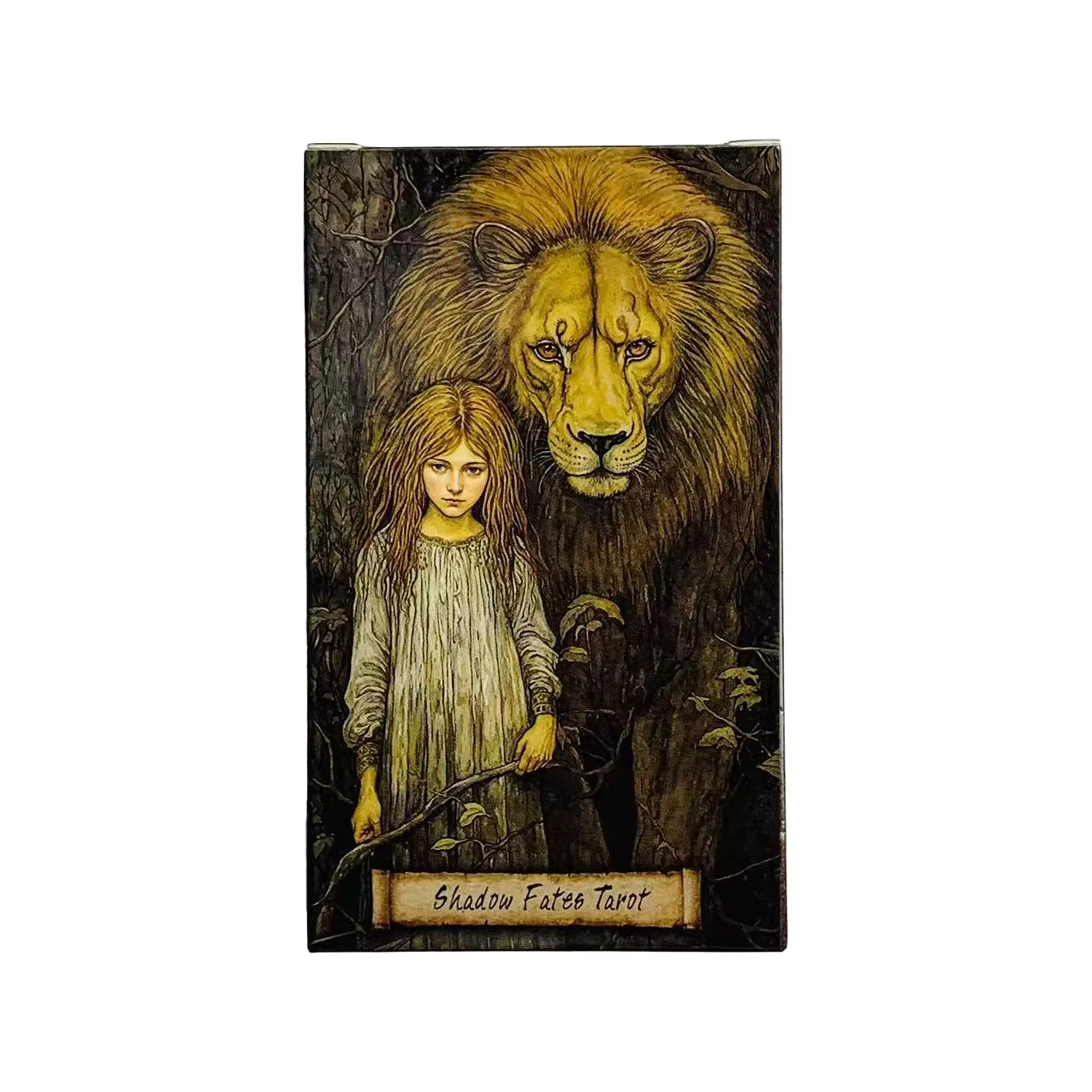 Cartes de Tarot Shadow Fates, jeu de réunion de famille, jeu de société de Divination de prédiction,