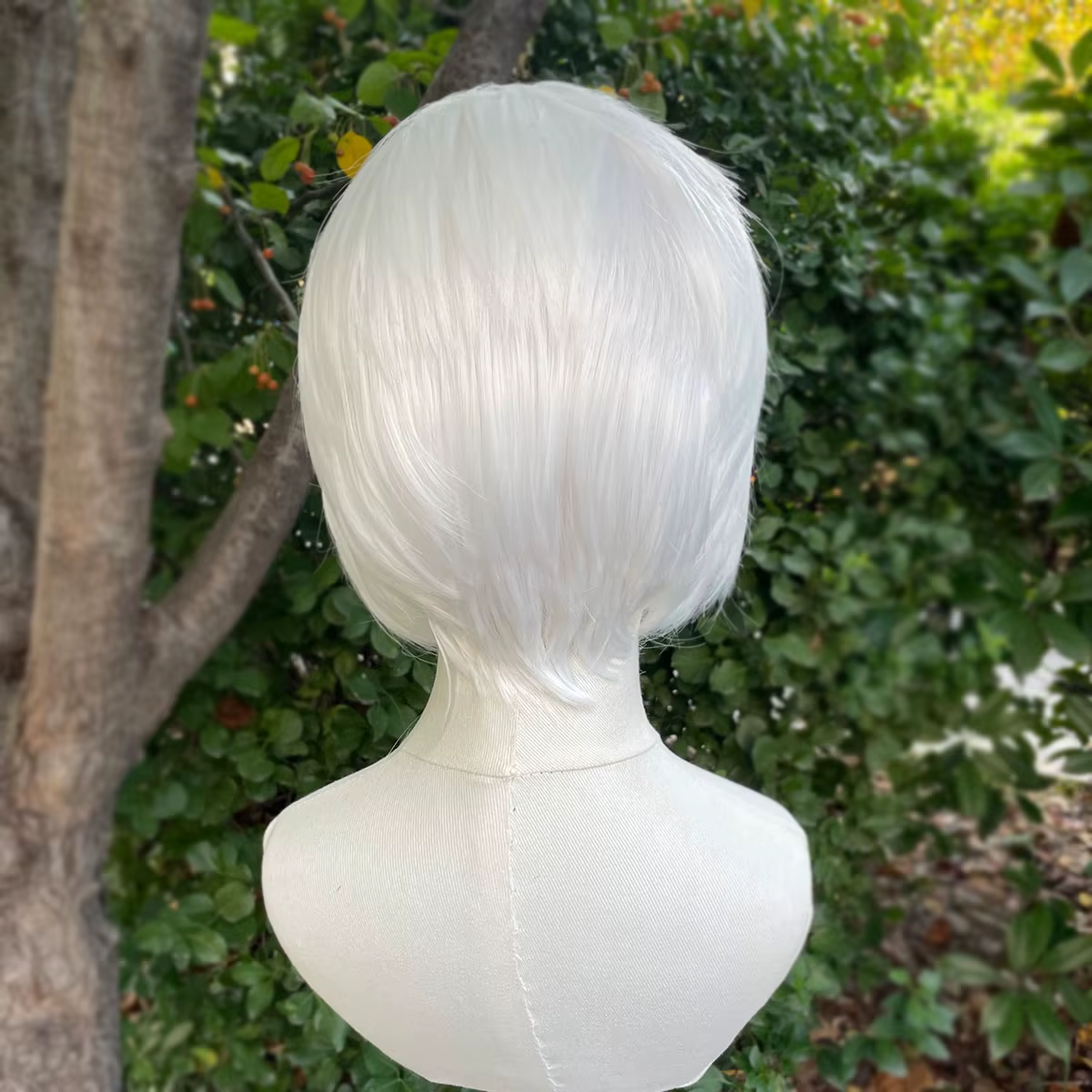 Perruque Lace Front Wig synthétique courte coupe Bob, perruque de Cosplay pour hommes et femmes, cou