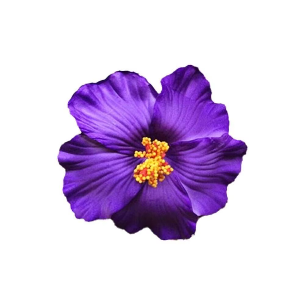 Pince à cheveux fleur blanche pour femmes et filles, épingle à cheveux, plage, bord de mer, voyage, 
