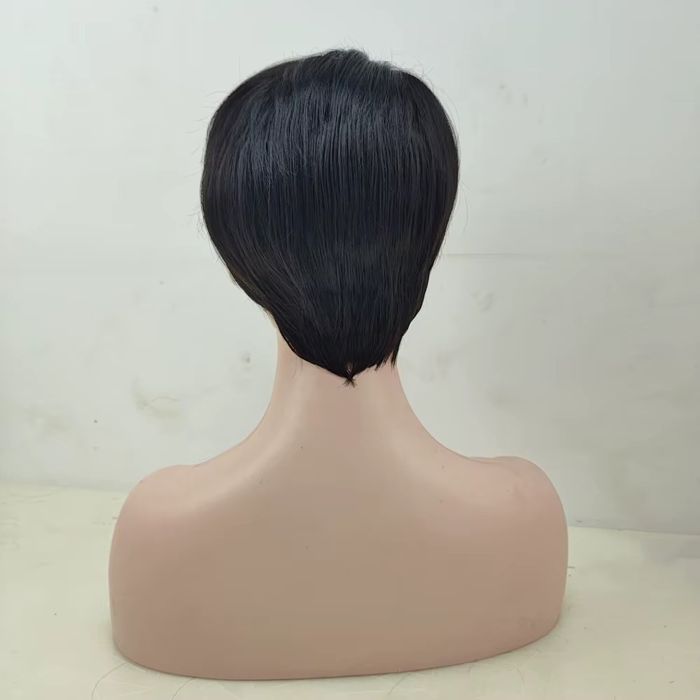 HAIRJOY – perruque synthétique courte et lisse pour femmes afro-américaines