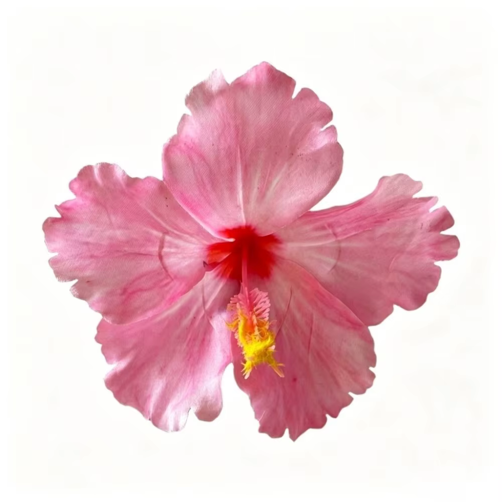 Pince à cheveux fleur d'hibiscus artificielle, style bohème, n'abîme pas les cheveux, pour photos, p