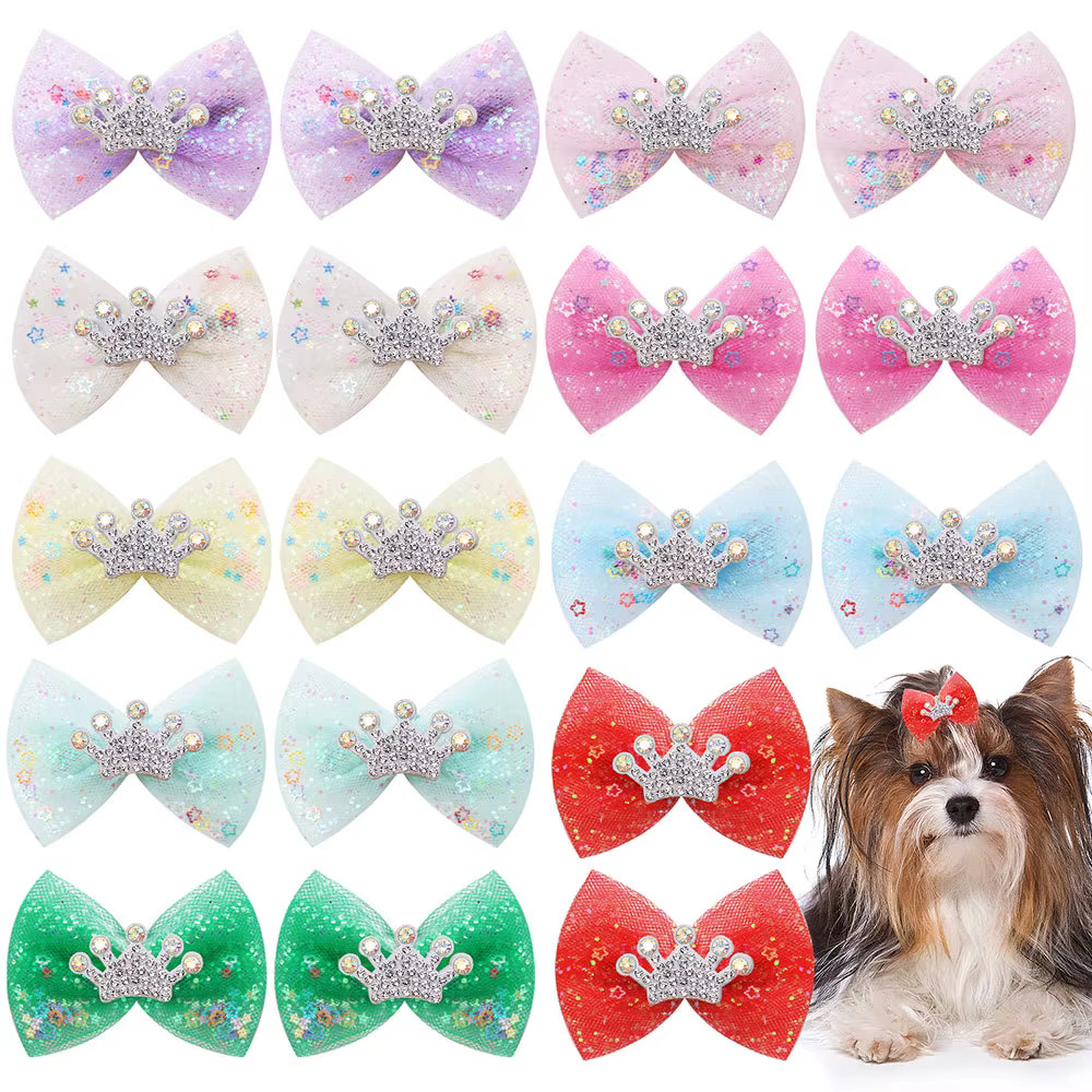 Pinces à cheveux en dentelle pour chien, 10 pièces, décoration de couronne, nœuds pour chien avec pi