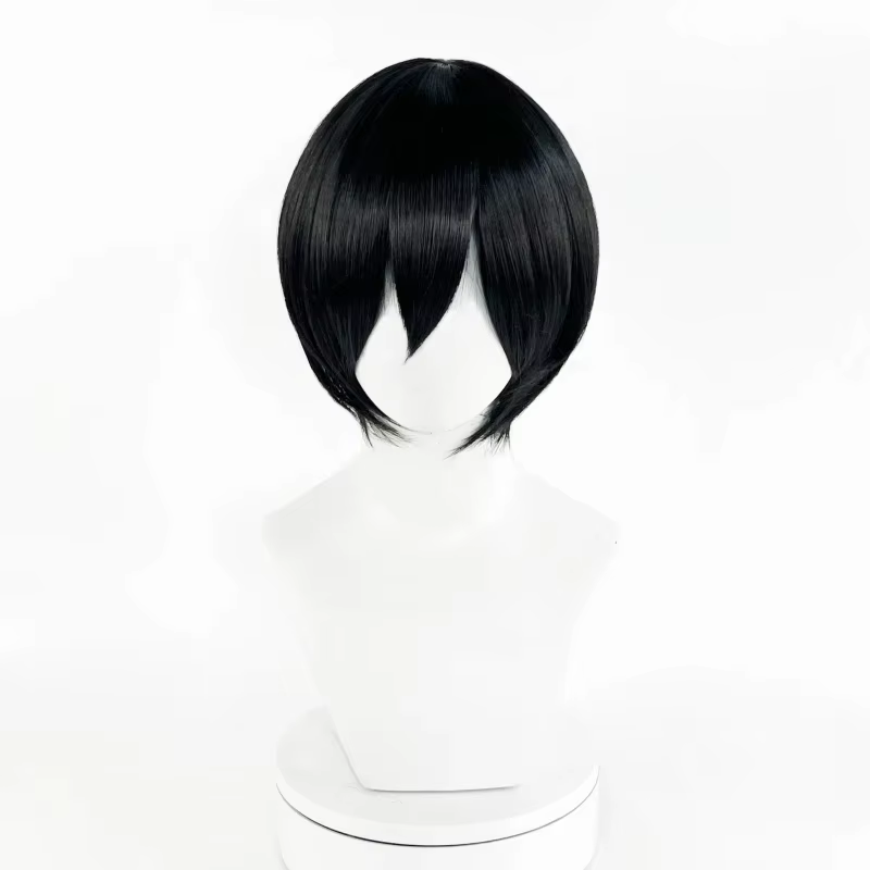 Perruque de Cosplay synthétique noire unisexe pour adultes, Anime Mikasa Ackerman, cheveux résistant