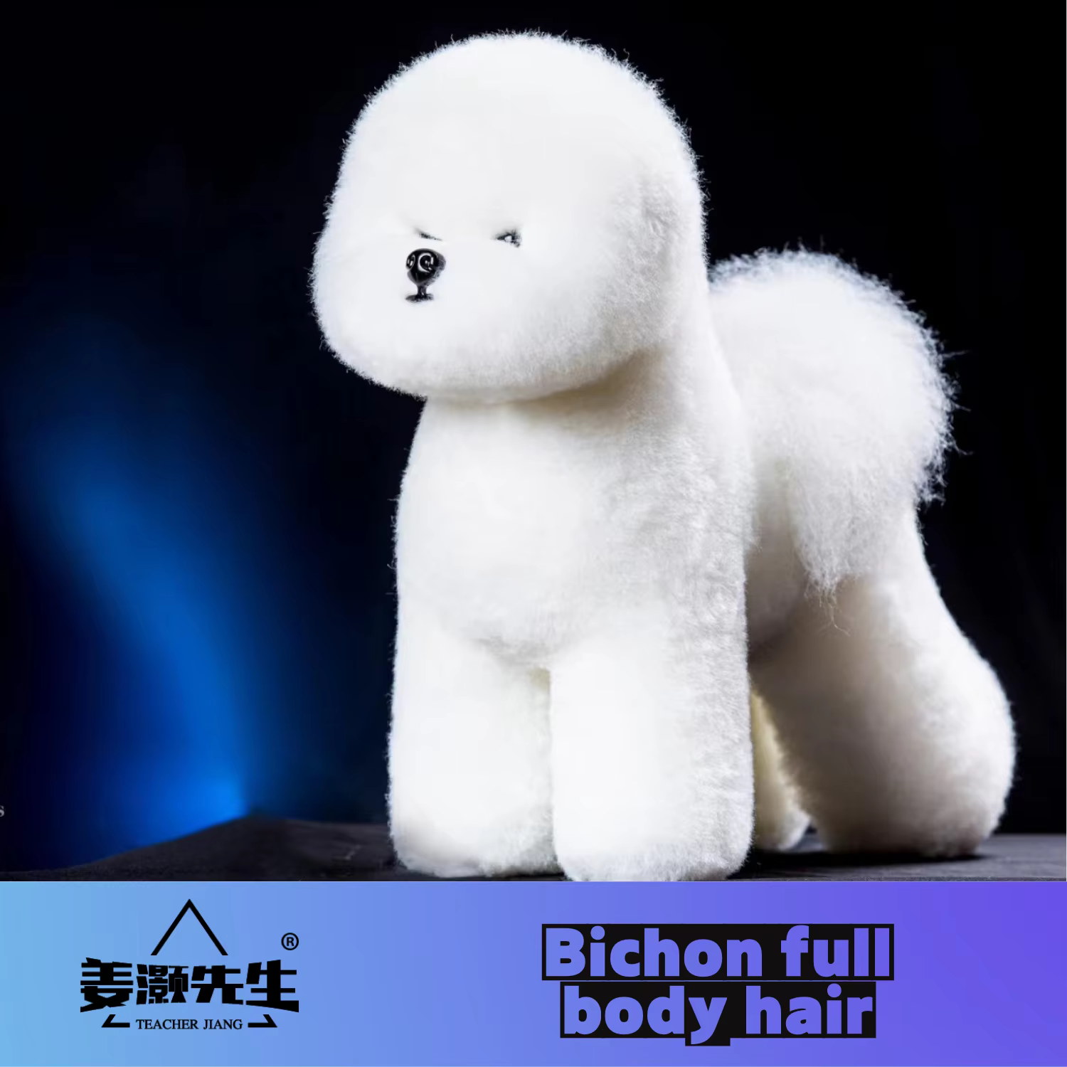 Perruque de cheveux complets Bichon pour la pratique du toilettage (perruque uniquement sans modèle)