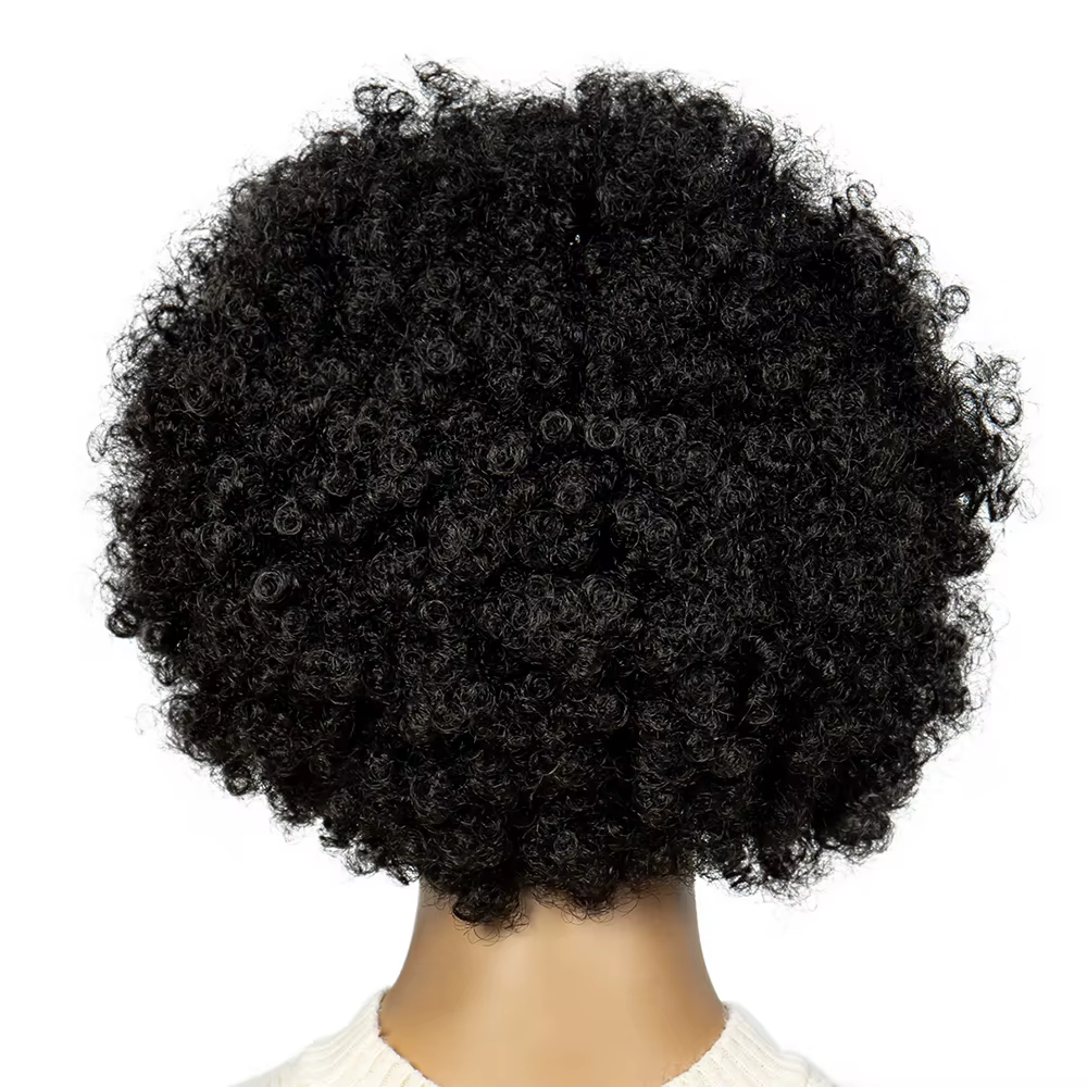 Perruque Afro crépue bouclée, perruques tressées courtes de 6 pouces pour femmes noires, perruques s