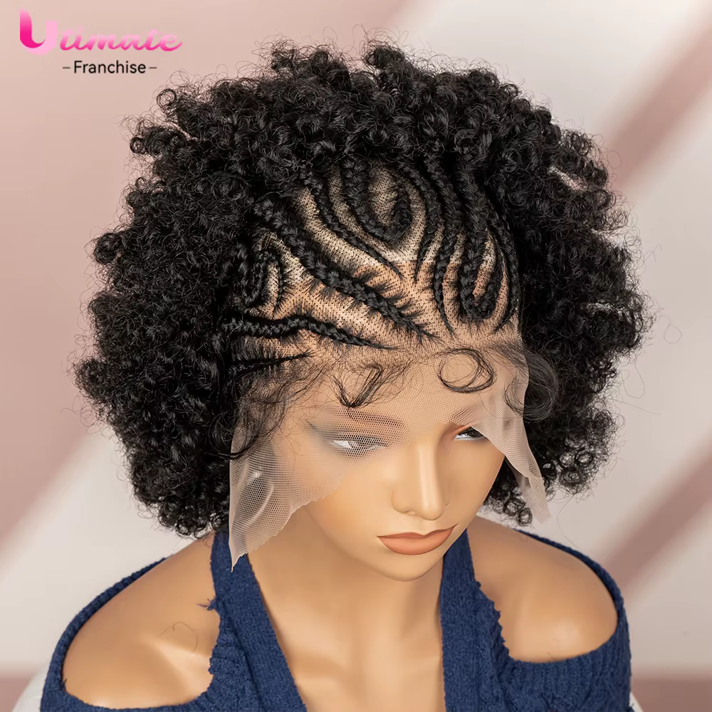 Perruque Afro crépue bouclée, nouvelles perruques tressées pour femmes noires, perruques synthétique