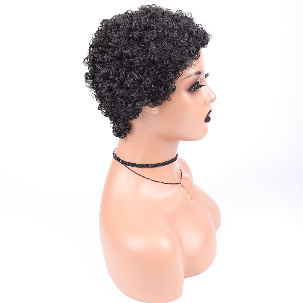 Perruques synthétiques Afro courtes bouclées pour femmes noires