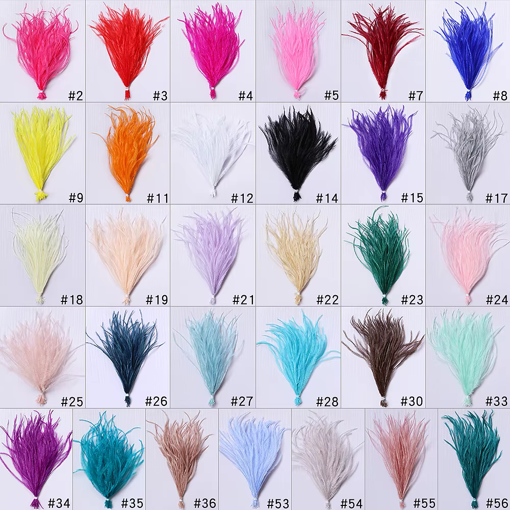 Plumes d'autruche naturelles à Clip