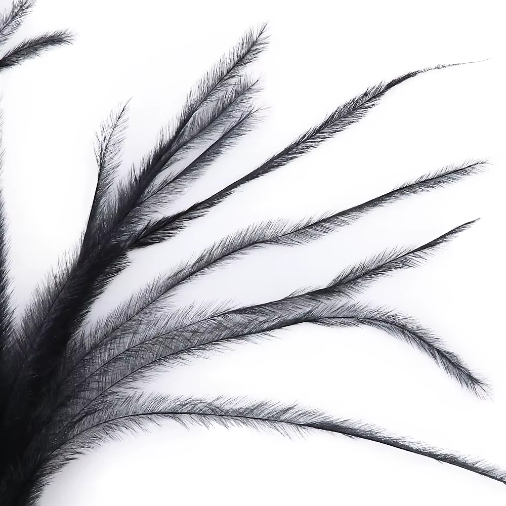 Plumes d'autruche naturelles à Clip