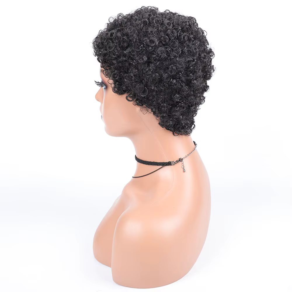 Perruques synthétiques Afro courtes bouclées pour femmes noires