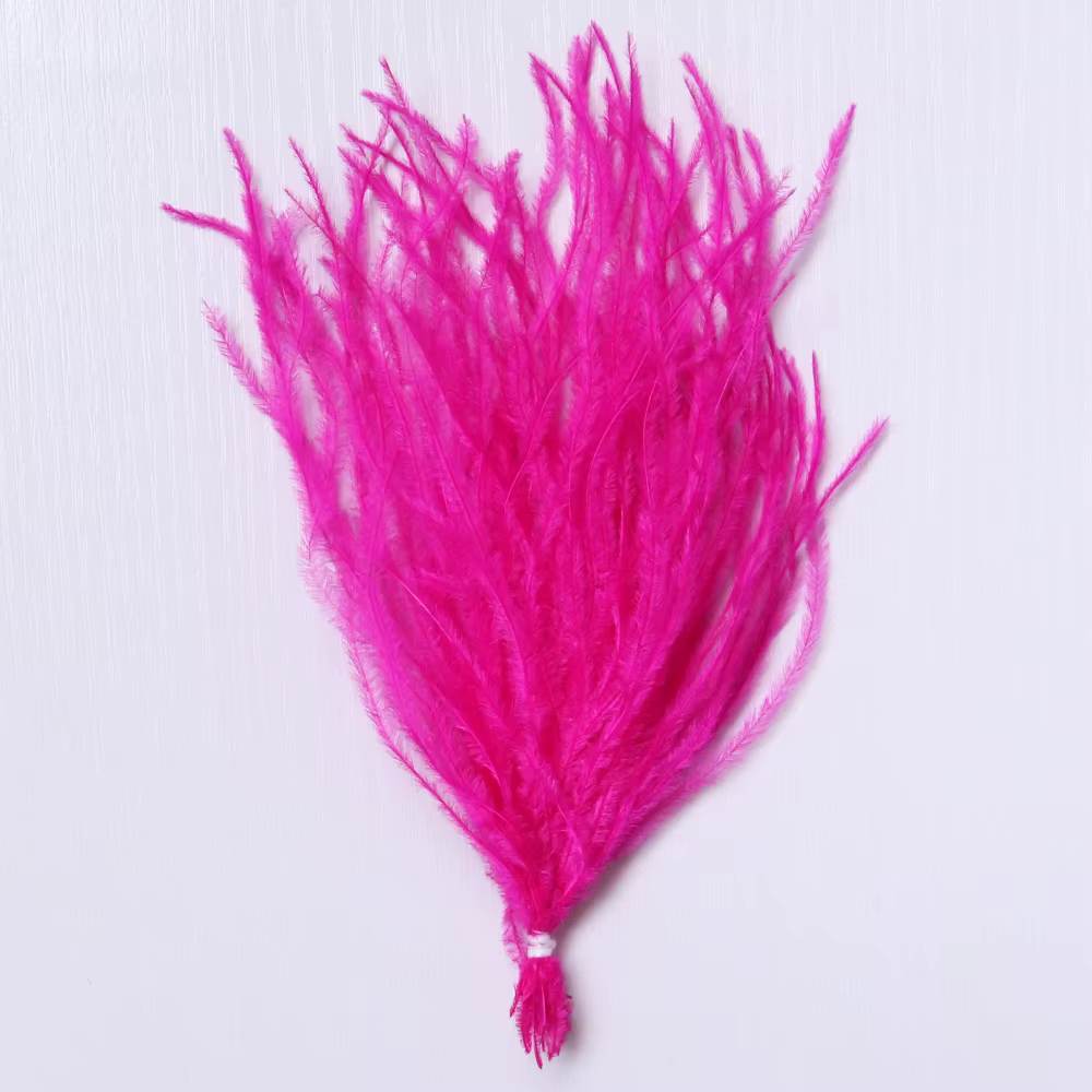 Plumes d'autruche naturelles à Clip