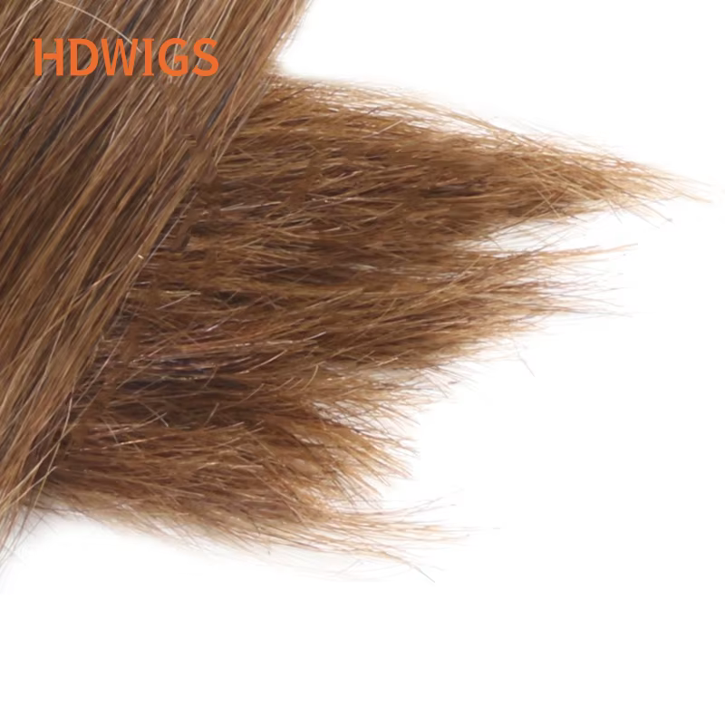 Bande dans l'extension de cheveux humains droite brésilienne Extension