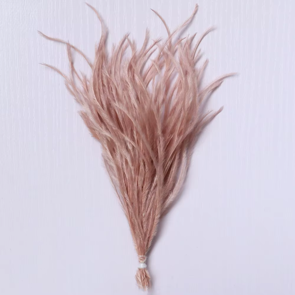 Plumes d'autruche naturelles à Clip