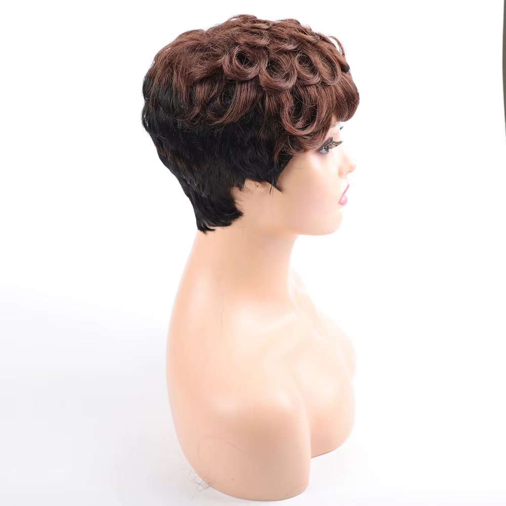 Perruques courtes pour femmes cheveux bouclés coupe courte perruque synthétique de haute qualité Afro femme artificielle faux Extensions d'usine originales