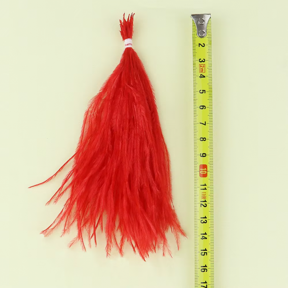 Plumes d'autruche naturelles à Clip