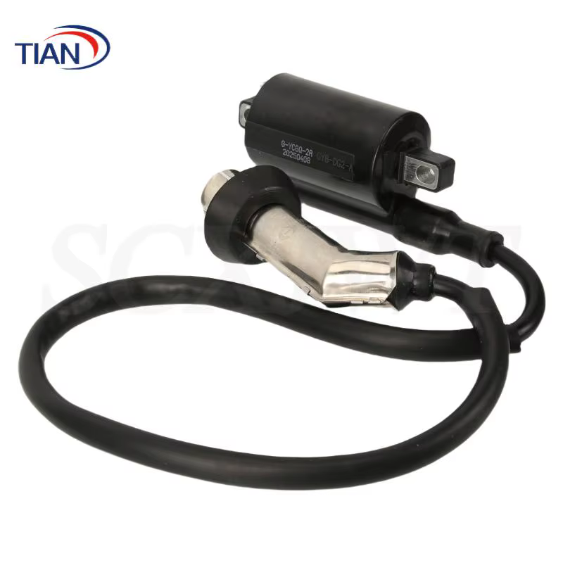 Bobine d'allumage EFI GY6 conçue pour les systèmes à pédale EFI 169cc 170cc, compatible avec les motos Jonway GTX 250 EFI et 200 Tall