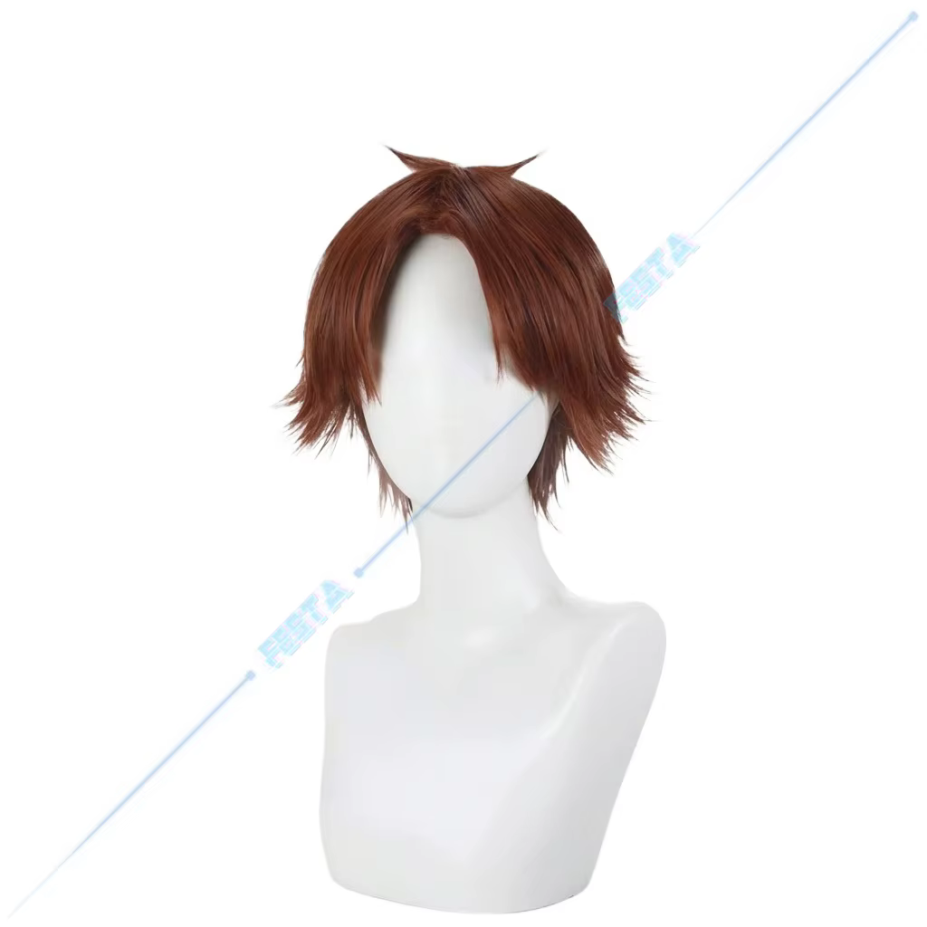 Perruque de Cosplay Kiyotaka Ayanokouji de Classroom of The Elite