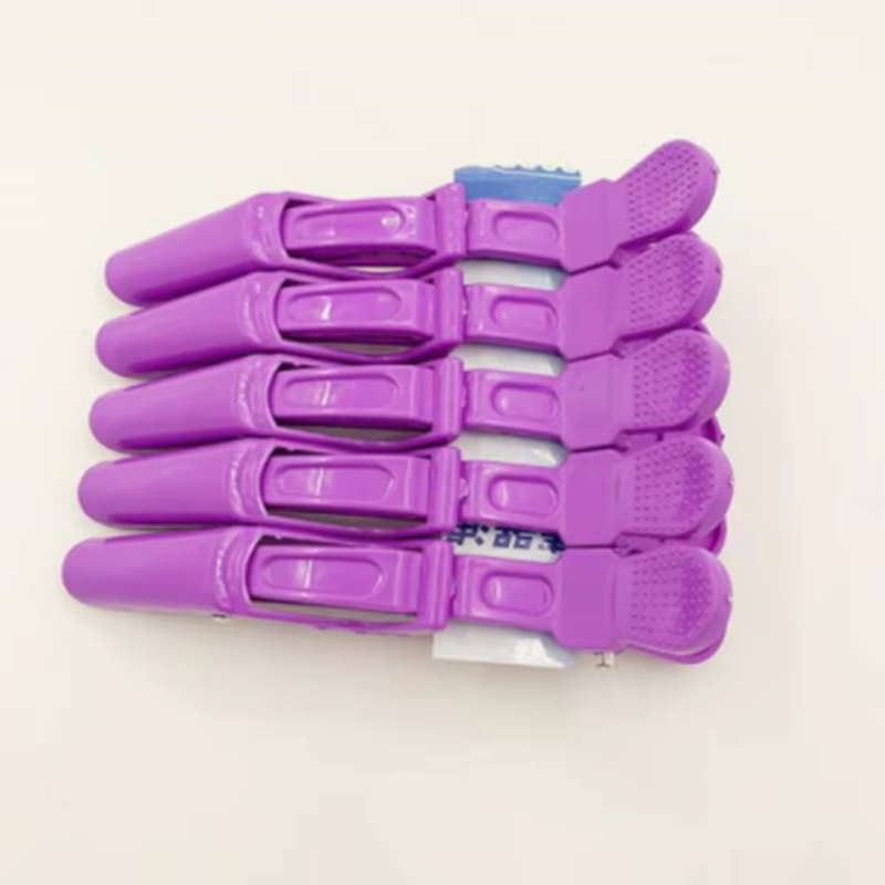 Lot de 5 pinces à cheveux en plastique