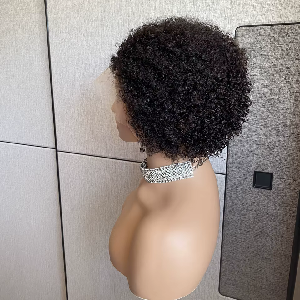 Kinky Curly Hair Wig, Natural Hairline