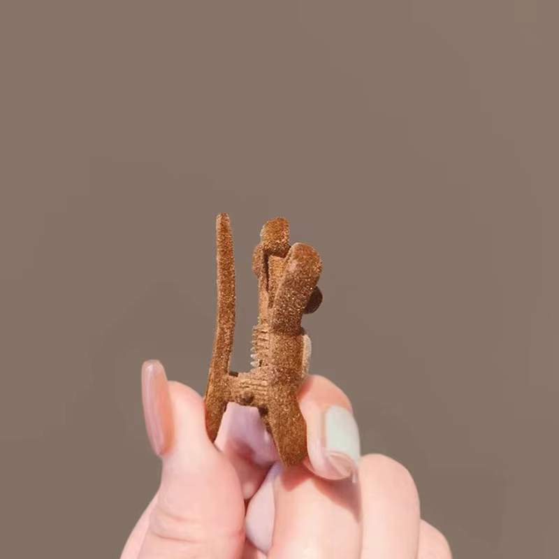 Pinces à cheveux latérales exquises et compactes