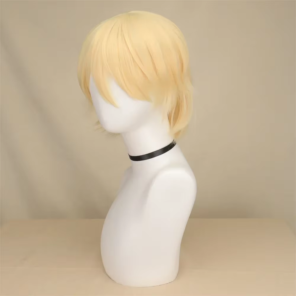 QQXCAIW – perruque de Cosplay synthétique courte et lisse pour hommes et femmes