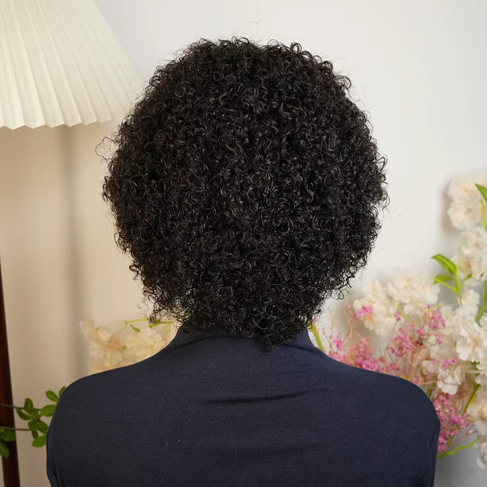 Afro crépus bouclés perruque de cheveux humains court