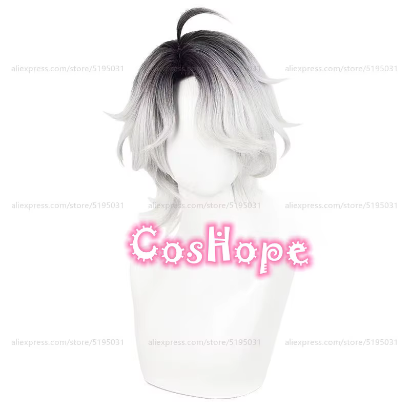 Patient Emil Cosplay perruque 30 cm court noir argent blanc dégradé
