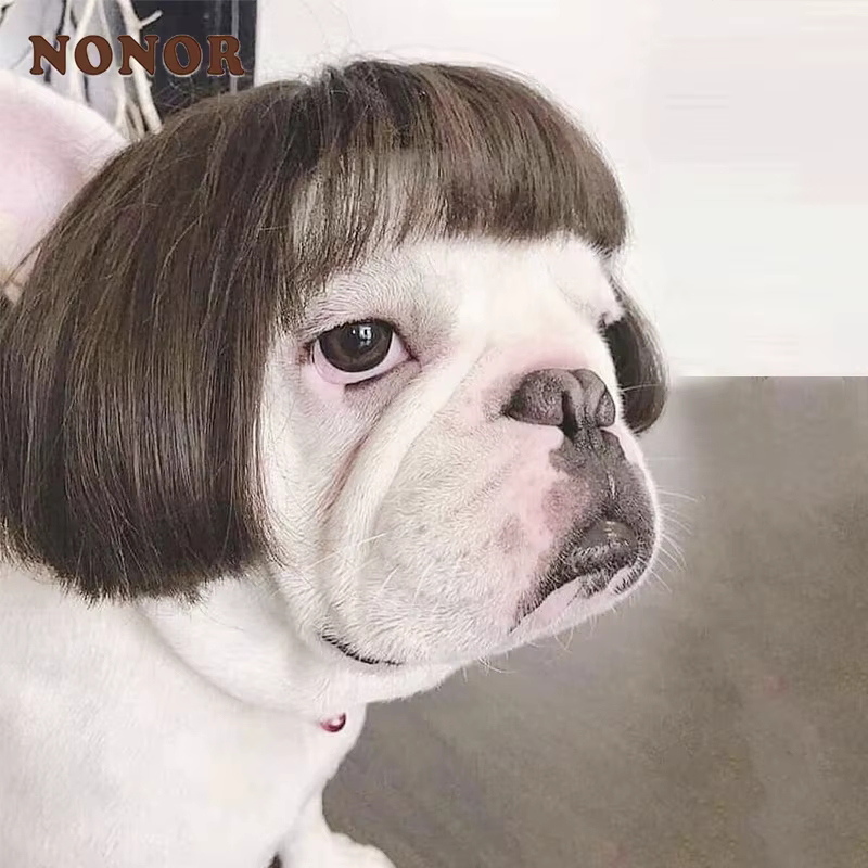 NONOR-Perruques pour animaux de compagnie, accessoires de cosplay, chapeau en élasthanne croisée, olympiques amusants, accessoires de tête pour chiens et chats, fournitures de Noël Halloowen