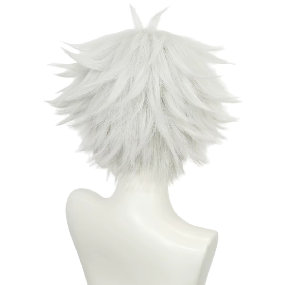 Ensemble de perruques et de costumes de cosplay Anime Witch Hat Atelier Qifrey