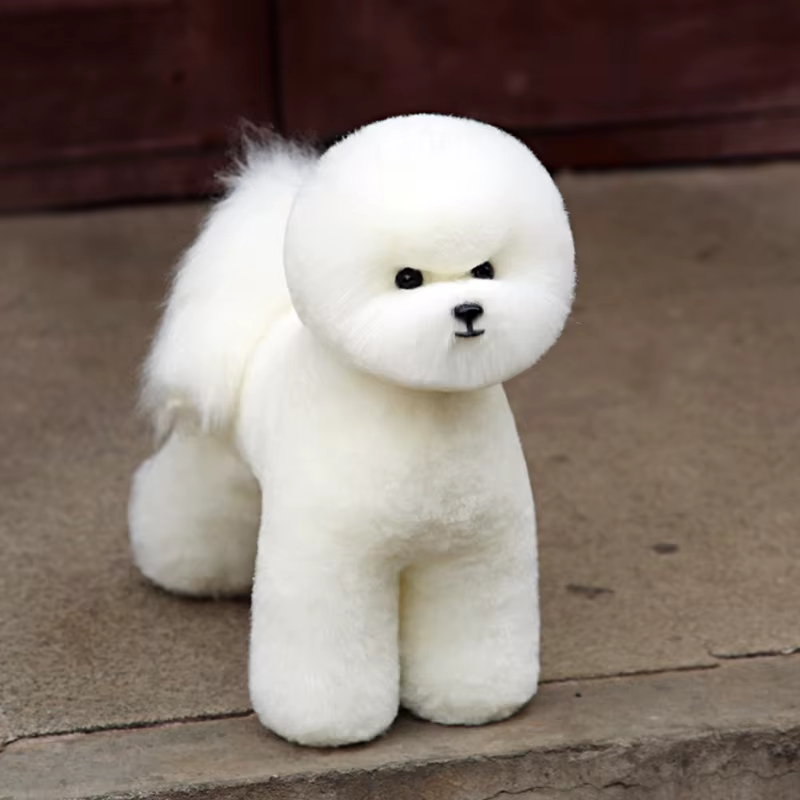 Perruque de cheveux complets Bichon pour la pratique du toilettage