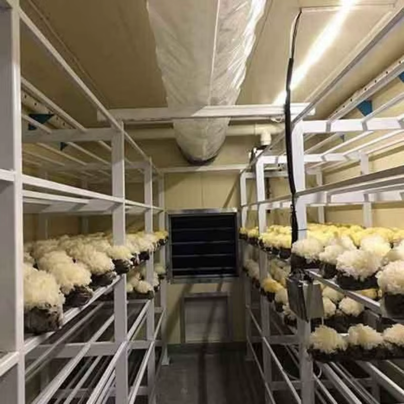 Conteneur de culture de champignons pour l'élevage de mycètes, avec dimensions et caractéristiques personnalisées pour la production commerciale