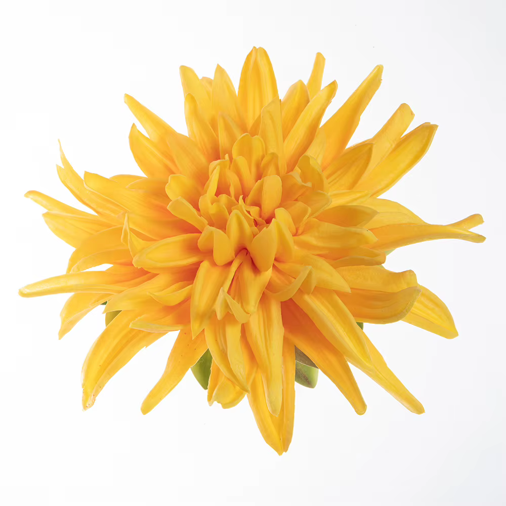 Pince à cheveux orchidée Nunlia glamour pour séparés euse hawaïenne Hula