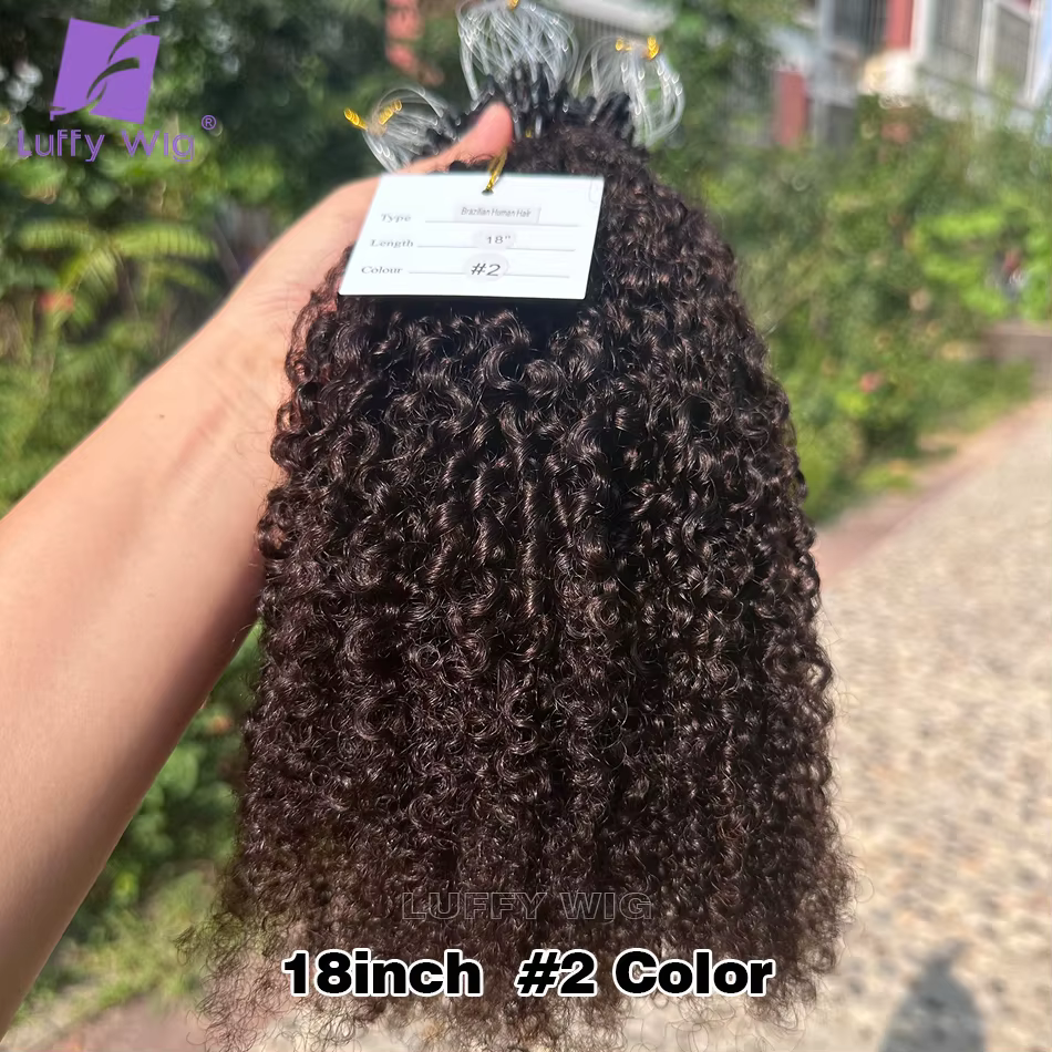 Double proximité Wn Afro Kinky Curly Micro Links Extensions de Cheveux Humains