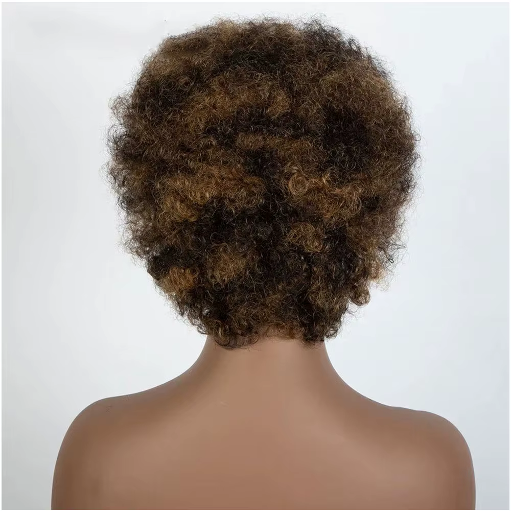 Afro crépus bouclés mettre en évidence perruque cheveux humains Ombre brun blond