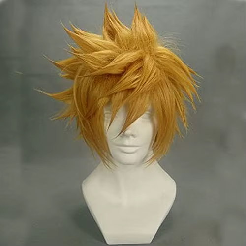 Kingdom Hearts Roxas perruque Ventus Cosplay