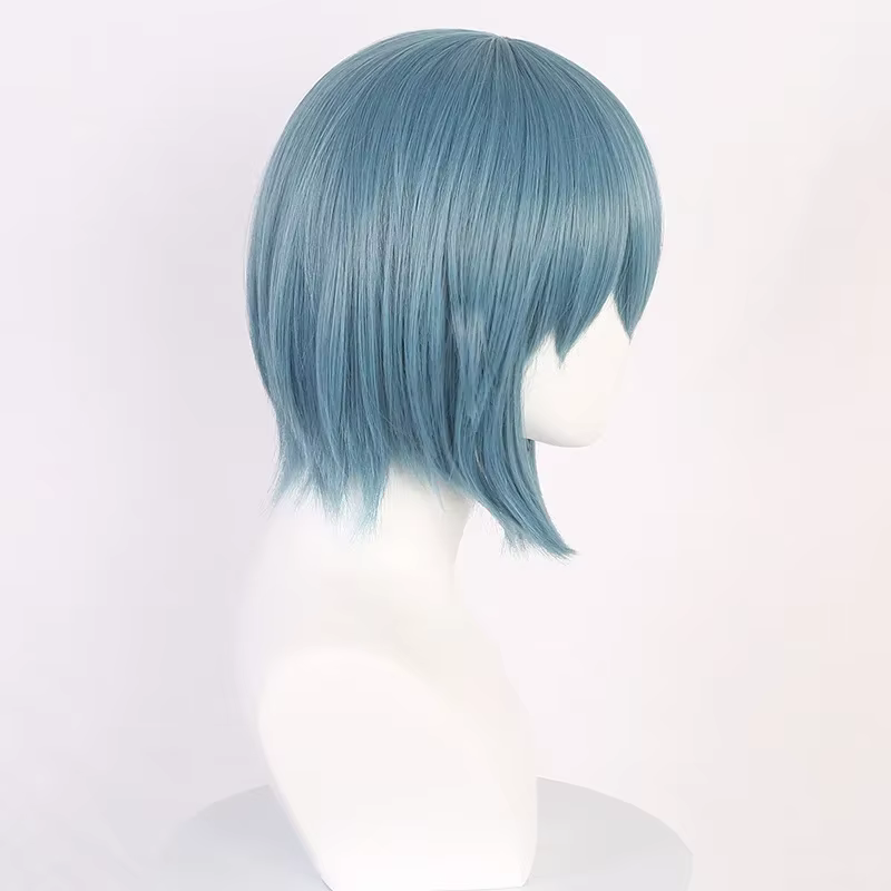 Perruque de Cosplay Anime Miki Sayaka