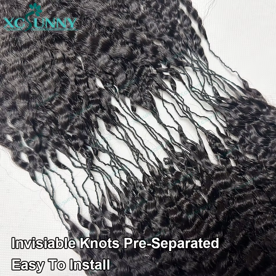 Extensions de cheveux humains bouclés au Crochet
