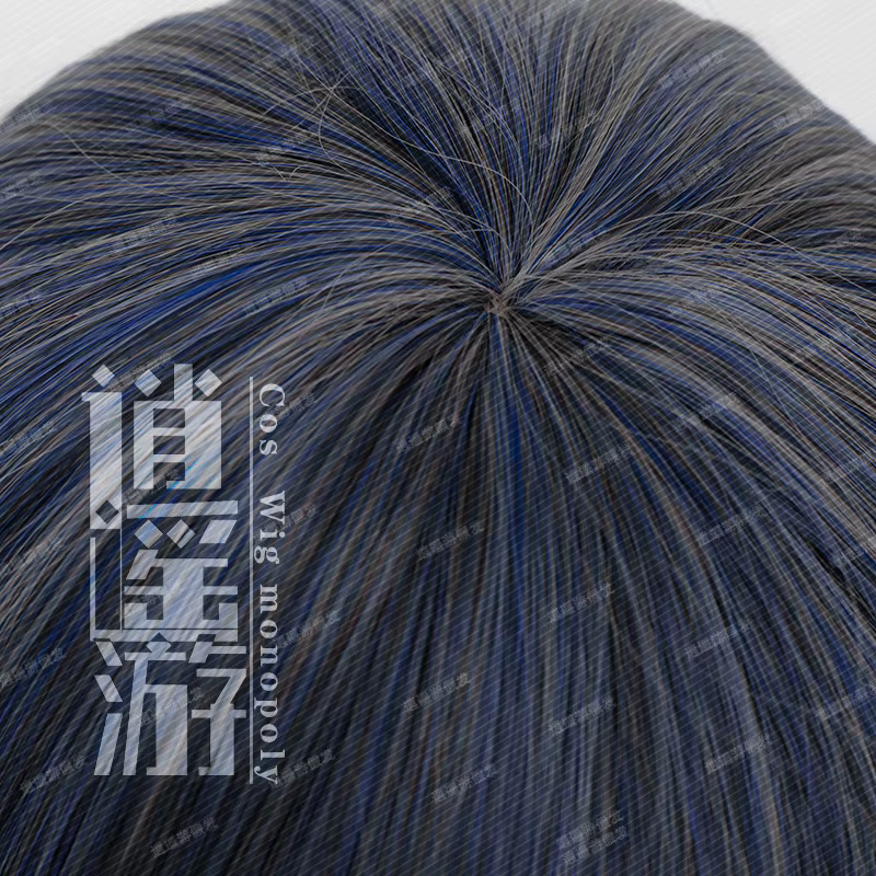 Perruque de Cosplay Black Butler Ciel Phantomhive
